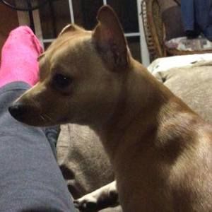 Meet your Posher, Alaina